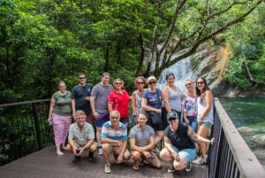 Cairns: Wooroonooran Rain Forest Full-Day Safari