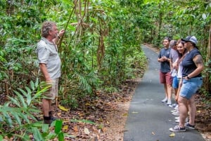 Cairns: Wooroonooran Rain Forest Full-Day Safari