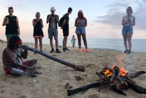 Cape Tribulation and Daintree Rainforest Tour