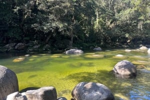 Cairns: Cape Tribulation, Daintree, Mossman and Port Douglas