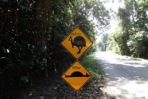 Cairns: Cape Tribulation, Daintree, Mossman and Port Douglas