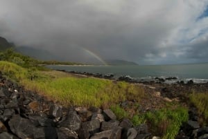 Cairns: Cape Tribulation, Daintree, Mossman and Port Douglas