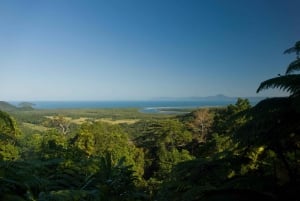 Cairns: Cape Tribulation, Daintree, Mossman and Port Douglas