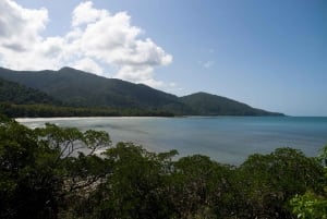 Cairns: Cape Tribulation, Daintree, Mossman and Port Douglas