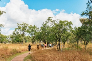 Chillagoe Caves and Outback from Cairns Full-Day Tour