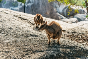 Chillagoe Caves and Outback from Cairns Full-Day Tour