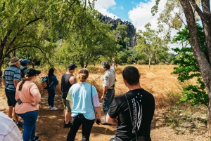 Excursão de dia inteiro às cavernas de Chillagoe e ao Outback saindo de Cairns