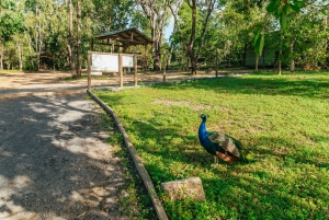 Excursión de un día a las cuevas de Chillagoe y el Outback desde Cairns