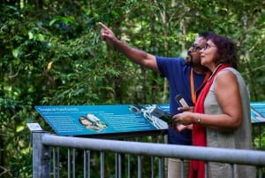 Cow Bay: Daintree Discovery Centre Entry Ticket