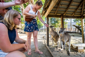 Cairns: Wildlife Habitat, Mossman Gorge og Daintree Tour