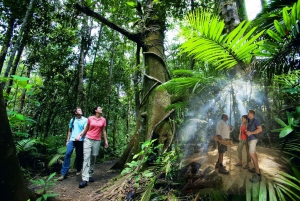 Cairns: Daintree and Mossman Gorge Tour with Cruise Option