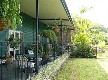 Daintree Wild Bed and Breakfast