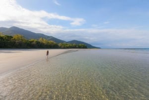 From Cairns: Daintree Wilderness & Cape Tribulation Bus Tour