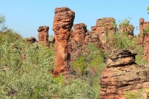 Darwin til Cairns: Kakadu og Gulf Savannah 11-dagers tur