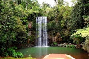 Darwin til Cairns: Kakadu og Gulf Savannah 11-dagers tur