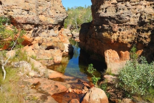 Darwin til Cairns: Kakadu og Gulf Savannah 11-dagers tur