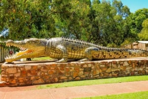 Darwin til Cairns: Kakadu og Gulf Savannah 11-dagers tur