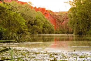 Darwin til Cairns: Kakadu og Gulf Savannah 11-dagers tur