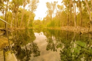 Darwin til Cairns: Kakadu og Gulf Savannah 11-dagers tur