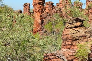 Darwin til Cairns: Kakadu og Gulf Savannah 11-dagers tur