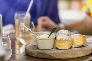 Ontdek Cairns: Cairns River Cruise & City Sights Tour