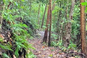 Cairns: Dagsutflykt för att utforska Dunk Island