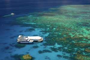 Eco-Logic Marine Full-Day Experience