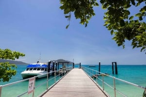 Île Fitzroy : visite d'une jounée en ferry et safari de plongée en apnée avec un guide
