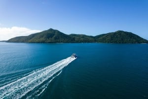 Île Fitzroy : visite d'une jounée en ferry et safari de plongée en apnée avec un guide