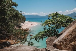 Île Fitzroy : visite d'une jounée en ferry et safari de plongée en apnée avec un guide