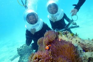 Form Cairns: Green Island + Seawalker Helmet Dive