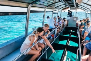 Form Cairns: Green Island + Seawalker Helmet Dive