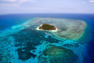 From Cairns: 40-Min Scenic Reef Window Seat Airplane Flight