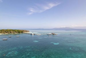 Z Cairns: 2 wyspy w 1 dzień — wyspy Fitzroy i Green