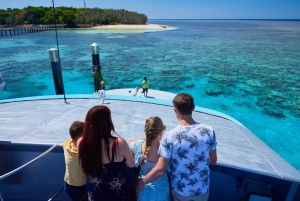 Z Cairns: 2 wyspy w 1 dzień — wyspy Fitzroy i Green