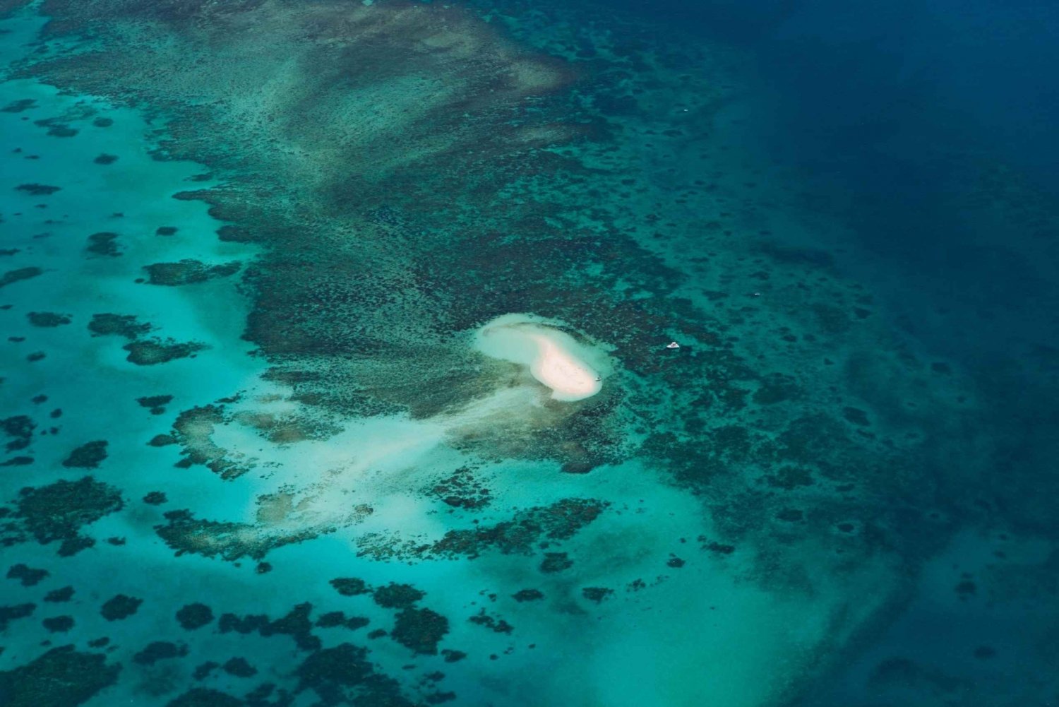 From Cairns: 40-Min Scenic Reef Window Seat Airplane Flight