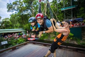 From Cairns: AJ Hackett Giant Jungle Swing Experience