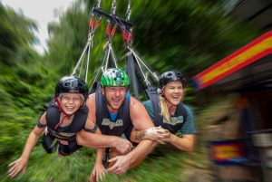 From Cairns: AJ Hackett Giant Swing Experience