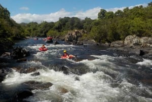 From Cairns and Northern Beaches: Rainforest River Tubing
