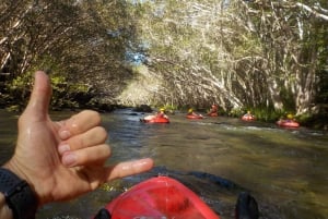 From Cairns and Northern Beaches: Rainforest River Tubing