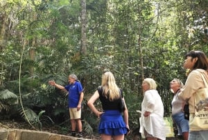 From Cairns: Atherton Tablelands and Paronella Park Day Trip