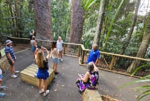 From Cairns: Atherton Tablelands and Paronella Park Day Trip