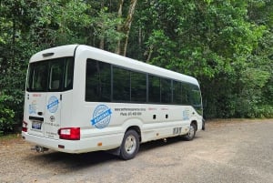 From Cairns: Atherton Tablelands and Paronella Park Day Trip