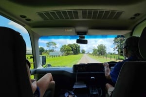 From Cairns: Atherton Tablelands and Paronella Park Day Trip