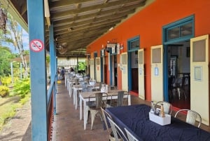 From Cairns: Atherton Tablelands and Paronella Park Day Trip