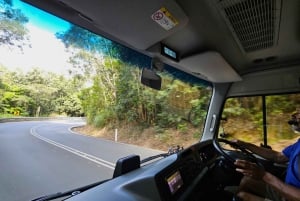 From Cairns: Atherton Tablelands and Paronella Park Day Trip