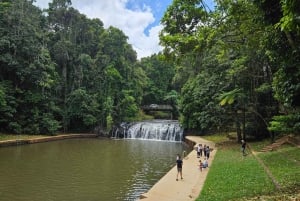 From Cairns: Atherton Tablelands and Paronella Park Day Trip