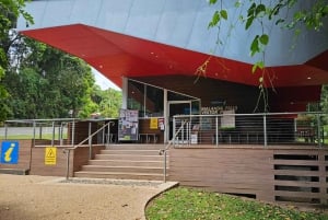 From Cairns: Atherton Tablelands and Paronella Park Day Trip