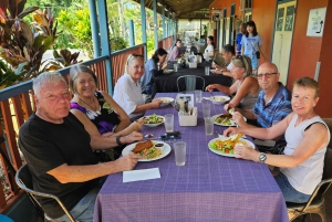 From Cairns: Atherton Tablelands and Paronella Park Day Trip