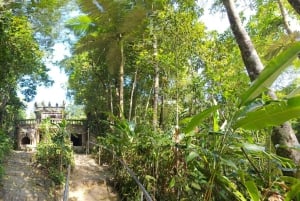 From Cairns: Atherton Tablelands and Paronella Park Day Trip